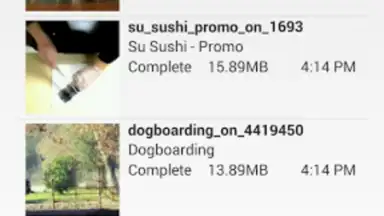 Captura de tela de AVD Android Video Downloader 4
