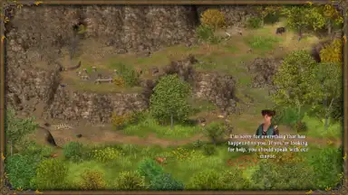 Captura de tela de Hero of the Kingdom III 4