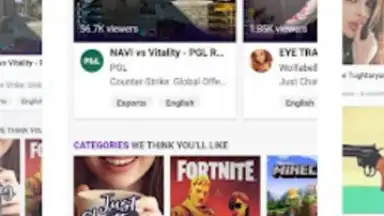 Captura de tela de Bro Browser 1