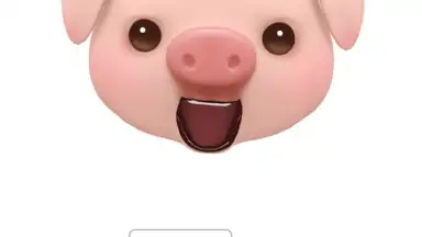 Captura de tela de MiMoji 6
