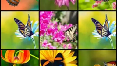 Captura de tela de Butterfly Flower for DoodleTex 3