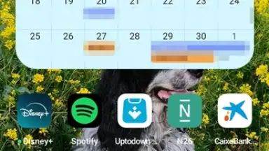 Captura de tela de Google Calendar 8