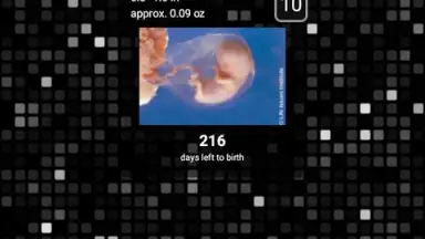 Captura de tela de Pregnancy Assistant 1