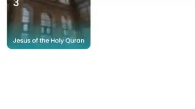 Captura de tela de The Holy Quran - English 1