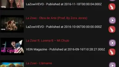 Captura de tela de STube Music Downloader 3