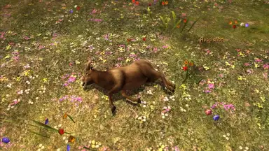 Captura de tela de Deer Hunter Classic 4