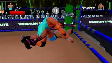 Captura de tela de Tag Team Wrestling Games: Mega Cage Ring Fighting 11