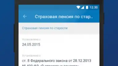 Captura de tela de ПФР Электронные сервисы 2