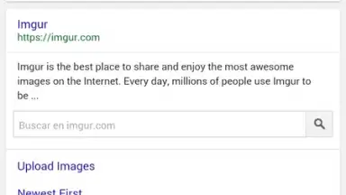 Captura de tela de Ding Browser 2