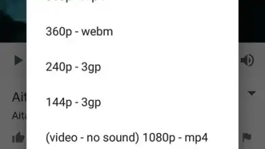 Captura de tela de SnobTUBE - Video Audio Downloader 3