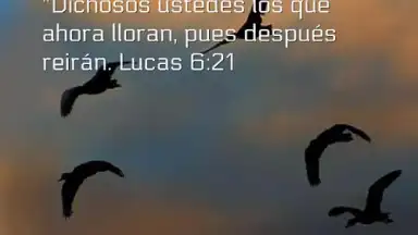 Captura de tela de Promesas 3