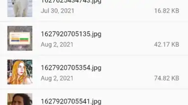 Captura de tela de 7Z - Files Manager 2