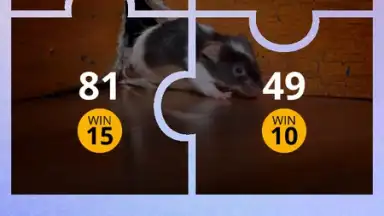 Captura de tela de 100 PICS Puzzles 5