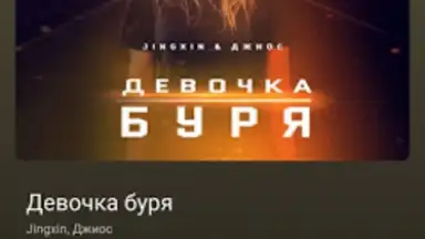 Captura de tela de BiRD - Музыка из ВК 4