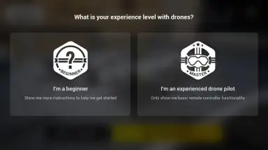 Captura de tela de DJI Virtual Flight 10