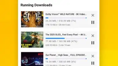 Captura de tela de Vidora YouTube Downloader | free & fast 6