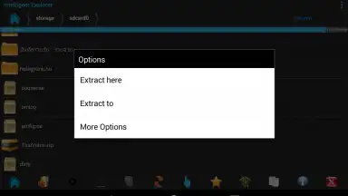 Captura de tela de Intelligent Explorer Pro 12