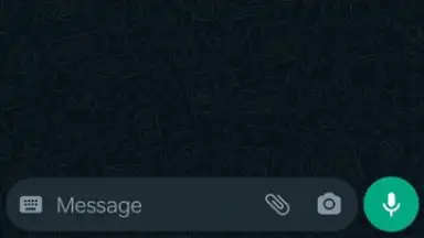 Captura de tela de WhatsApp Messenger 23