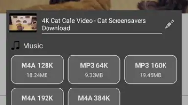 Captura de tela de Stellar Browser 1