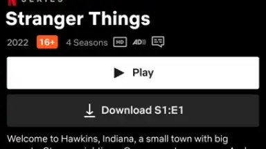 Captura de tela de Netflix (Android TV) 2