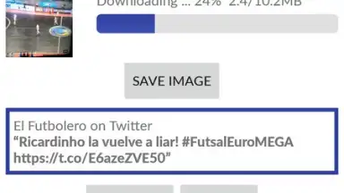 Captura de tela de Video Downloader for Twitter 2