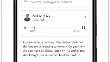 Captura de tela de Google Voice 3