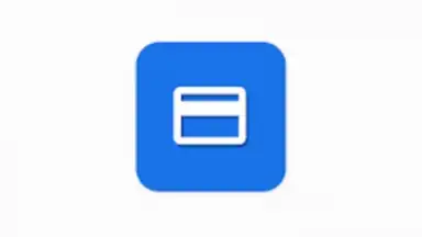 Captura de tela de Google Play services for payments 2
