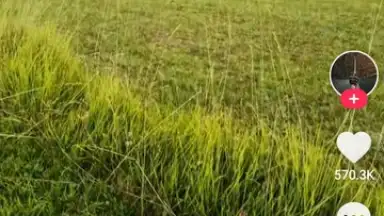 Captura de tela de TikTok Lite 20