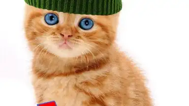 Captura de tela de Talking, Dancing Cat. 9