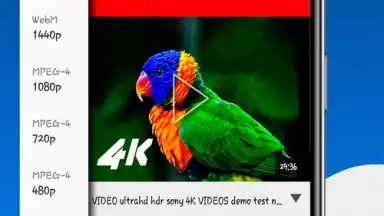 Captura de tela de Fast Youtube Downloader 8