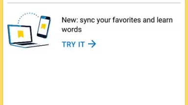 Captura de tela de Yandex Translate 3
