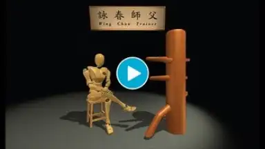 Captura de tela de Wing Chun Trainer 1