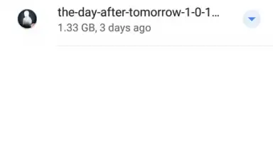 Captura de tela de Files by Google 8
