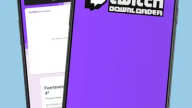 Captura de tela de Twitch Downloader 1