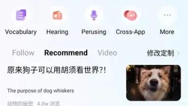 Captura de tela de Baidu Translate 1