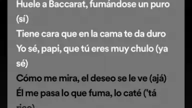Captura de tela de Spotify 14