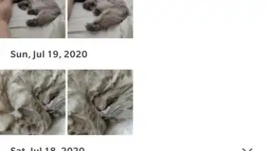 Captura de tela de Google Photos 8