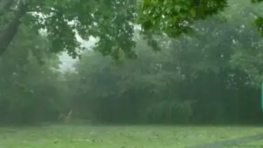 Captura de tela de Relax Rain 1