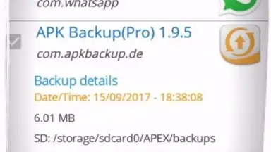Captura de tela de APK Backup(Pro) 2