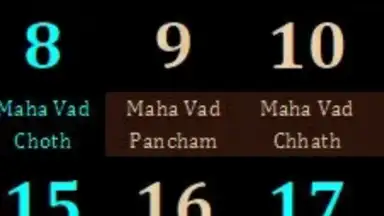 Captura de tela de Gujarati Calendar 2014 1