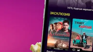Captura de tela de Этномедиа 3