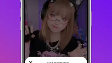 Captura de tela de Downloader for Pinterest 4