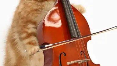 Captura de tela de Talking, Dancing Cat. 5
