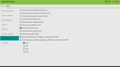 Captura de tela de OpenVPN Client Free 10