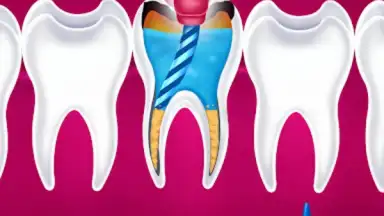 Captura de tela de Pet Doctor Kids Dentist Game 3