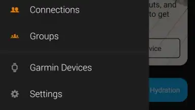 Captura de tela de Garmin Connect 9