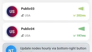 Captura de tela de ZipVPN 4