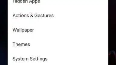 Captura de tela de Apex Launcher 11