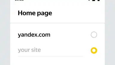 Captura de tela de Yandex Start 4