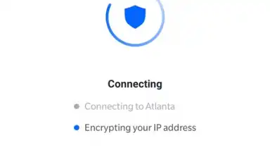 Captura de tela de DeerShield - Free VPN 9